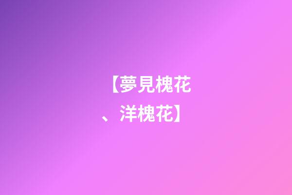 【夢見槐花、洋槐花】